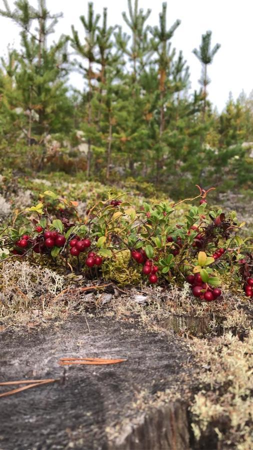 Glampingtaelt Torsby Exterior foto